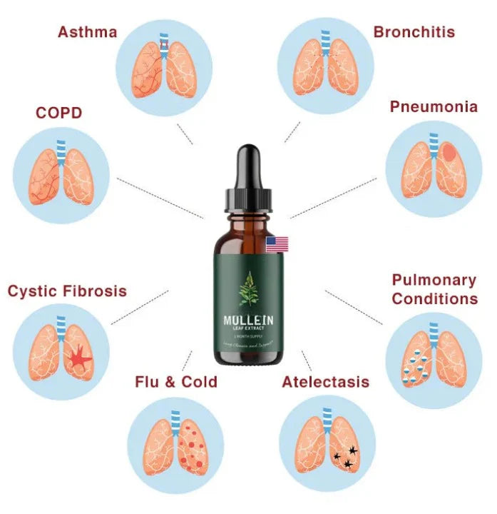 Mullein Drops Breathe Ease Lung Vitality Elixir, Mullein Leaf Liquid Extract Supplement, Vegetarian Healthy Lifestyle