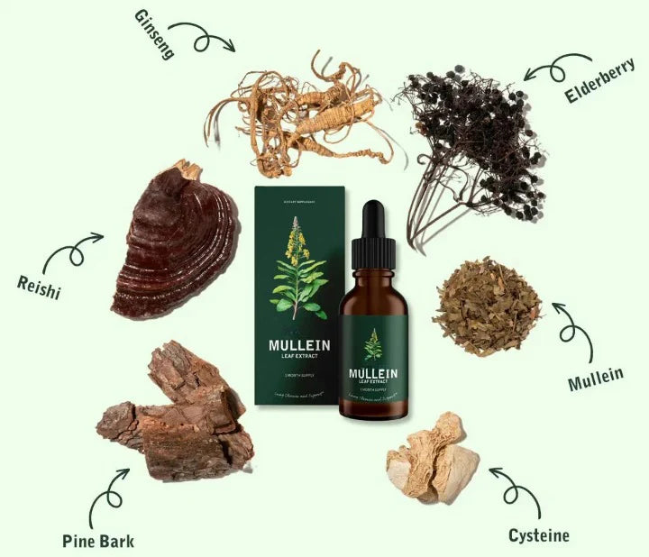 Mullein Drops Breathe Ease Lung Vitality Elixir, Mullein Leaf Liquid Extract Supplement, Vegetarian Healthy Lifestyle