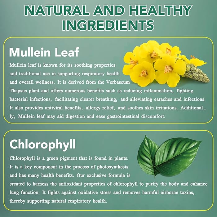 Mullein Drops Breathe Ease Lung Vitality Elixir, Mullein Leaf Liquid Extract Supplement, Vegetarian Healthy Lifestyle